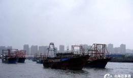 爆料渔船视频播放大全最新,海上捕捞瞬间大盘点